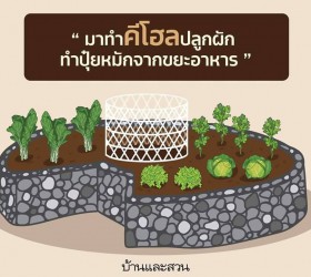 การปลูกผักแบบคีโฮล